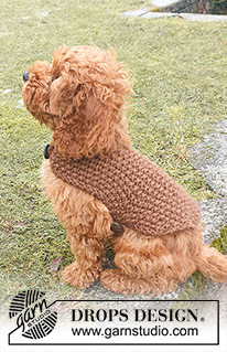 Free patterns - Chats & Chiens / DROPS 245-33